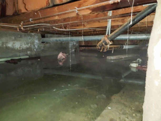 Best Residential water damage restoration  in Monticello, LA