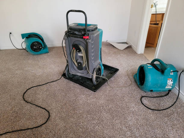 Best Sewage cleanup and water damage restoration  in Monticello, LA