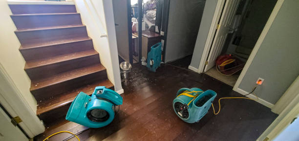 Water damage restoration mold remediation in LA