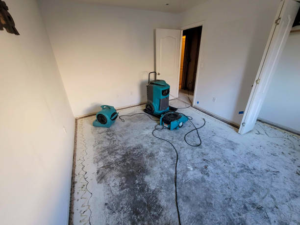 Best Flood damage cleanup  in Monticello, LA
