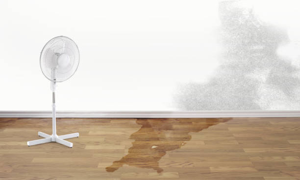 Best Local water damage restoration  in Monticello, LA