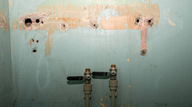 Best Fire Damage Restoration  in Monticello, LA