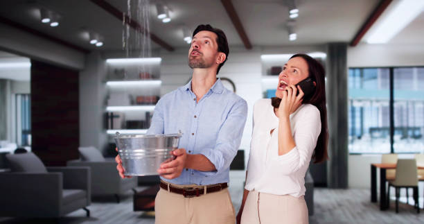 Best Professional water damage repair  in Monticello, LA