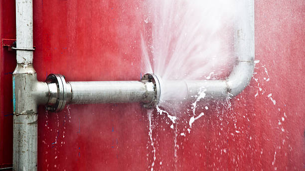Best Mold removal after water damage  in Monticello, LA